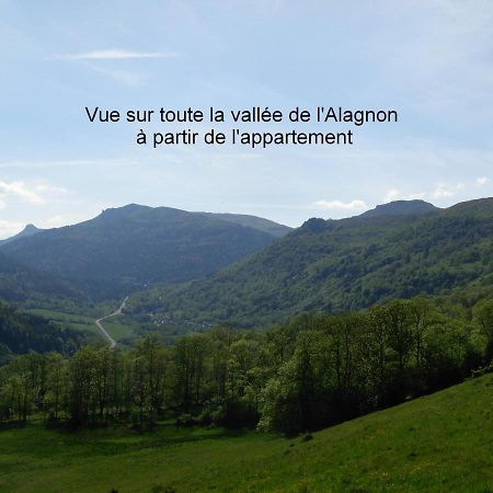 Vacances Au Pied Des Monts Du Cantal Laveissière 외부 사진