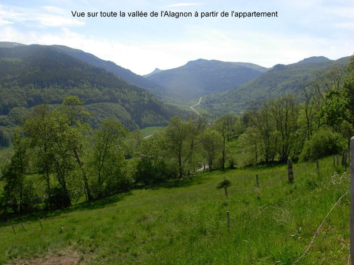 Vacances Au Pied Des Monts Du Cantal Laveissière 외부 사진