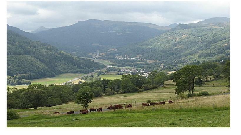 Vacances Au Pied Des Monts Du Cantal Laveissière 외부 사진