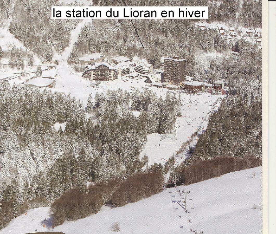 Vacances Au Pied Des Monts Du Cantal Laveissière 외부 사진