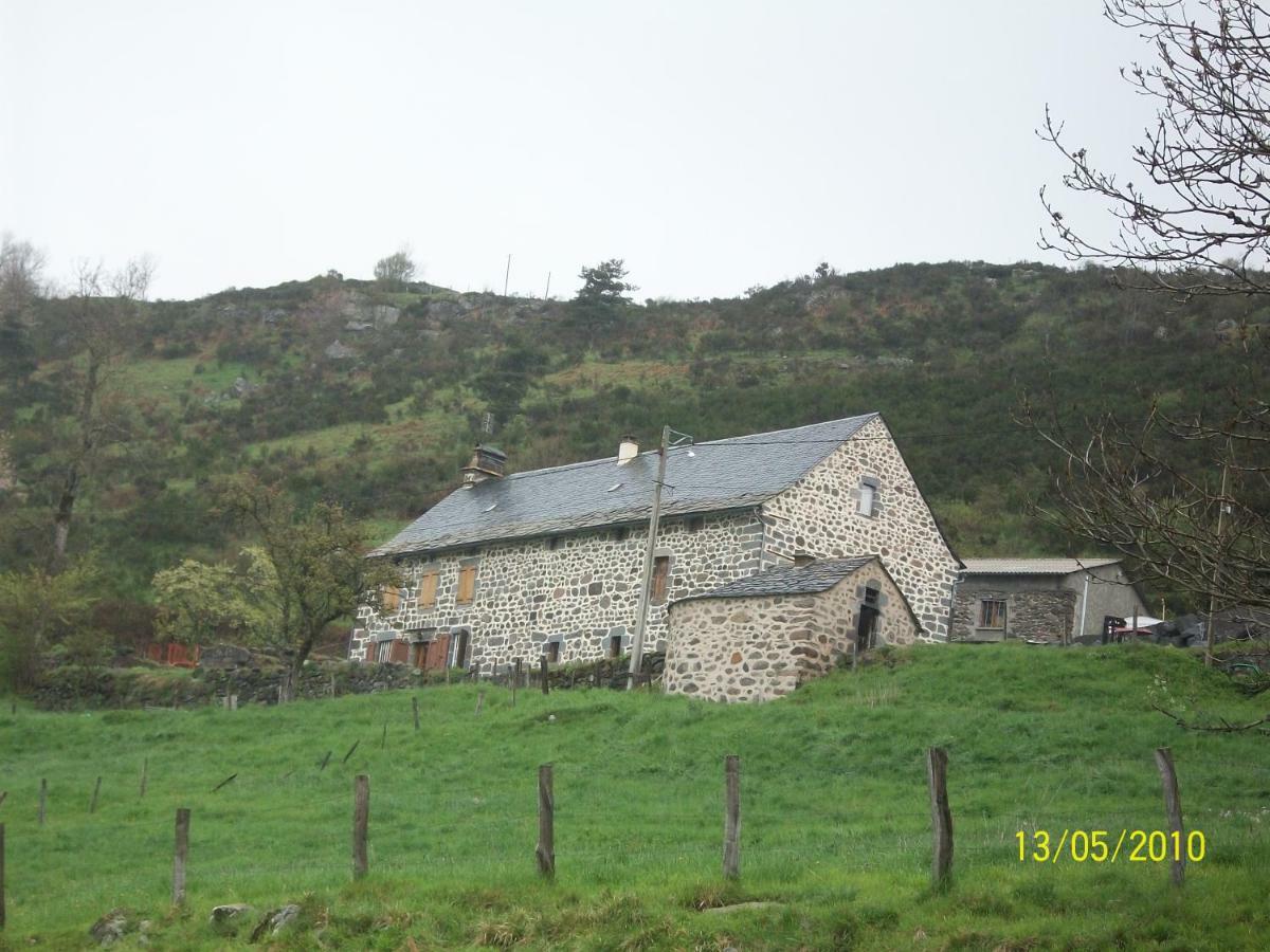 Vacances Au Pied Des Monts Du Cantal Laveissière 외부 사진
